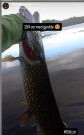 Gratulerer Kim! Den største 104cm.  thumbnail