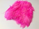 hot pink thumbnail