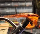 Binder ordre 15836- UV oransje Flashwing fluer!  thumbnail