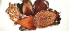 cock saddle mix 5 nakker thumbnail