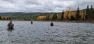 En magisk helg med fluefiske. Tfisk team fisket i Glomma. Slutten av sesongen.  thumbnail