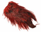 Coq de Leon Bronze Whiting Saddle- NYHET! thumbnail