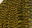 Hareline Half Rooster Cape- NYHET! Nye farger! thumbnail