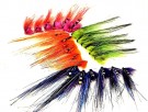 UV flashwing TM fluer thumbnail