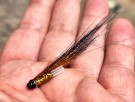 TM favoritt Gaula sunray variant thumbnail