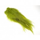 golden olive thumbnail
