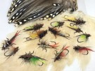 Stonefly body&tails thumbnail