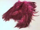 grizzly fl.pink thumbnail
