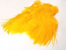 sunburst yellow USA thumbnail