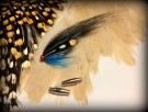 Gaula Fluebinderen TM thumbnail