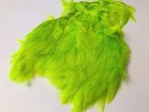 chartreuse thumbnail