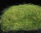 olive thumbnail