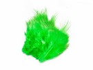 B&D gaudy green thumbnail