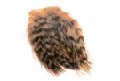 Cock hackles grizzly thumbnail
