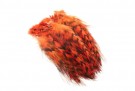 Cock hackles grizzly thumbnail
