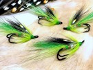 Sommer flue TM thumbnail