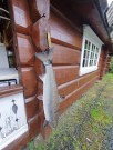 Orkla 06.21 10kg laks  kundesbilde thumbnail