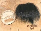 Raccoon farget 05/2022 thumbnail