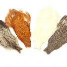 Veniard Genetic Hen Capes - NYHET 2025! thumbnail