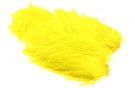 yellow thumbnail