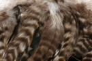 Barred variant schlappen til store fluer - NYHET!  thumbnail