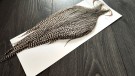 Grade 1 Half Grizzly Capes Root River Hackle thumbnail