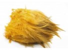 sunburst yellow thumbnail