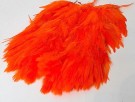 hot orange USA thumbnail