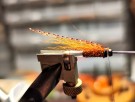 TM favoritt Gaula sunray variant thumbnail
