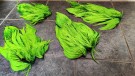 Farging 16.03- nye marabou patch av deep hot orange, fluo green og rev av fluo green thumbnail