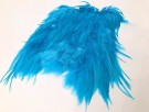 kingfisher blue USA thumbnail