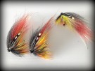 Willie spesial TM thumbnail
