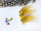 4cm thumbnail