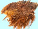 fierry brown thumbnail