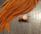 Gaula TM fl. fire red pot belly variant- NYHET2026 thumbnail