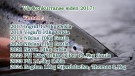 Sesongen nærmer seg! Bli i vår konkurranse 2025!  thumbnail