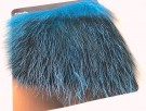 kingfisher blue thumbnail