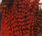 Hareline Half Rooster Cape- NYHET! Nye farger! thumbnail