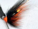 TTT orange TM thumbnail