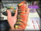 Willie spesial TM thumbnail
