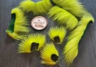Isbjørnhår av fluo yellow og fluo green ble farget denne helgen! thumbnail