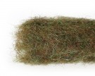 dark olive thumbnail