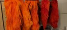 Vi er under revehår farging nå- hot orange og fire hot orange først!  thumbnail