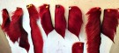 Isbjørnhår av blood red er ferdig farget!  thumbnail