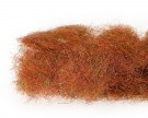 cinnamon thumbnail