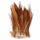 STRUNG NECK HACKLE- NYHET25 thumbnail