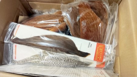 Whiting nakker har kommet! 