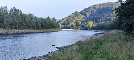 Prøvefiske i Gaula ble avslutett kl. 12.00- 06.09.24! 