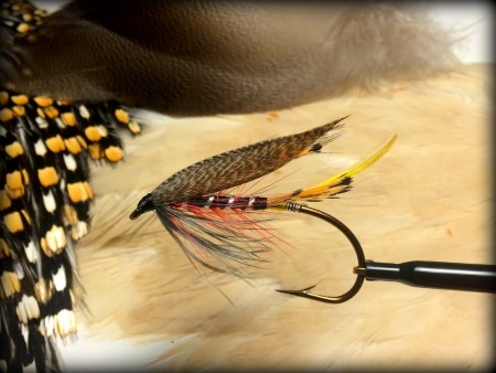 Enkelkrok Black Silk variant TM