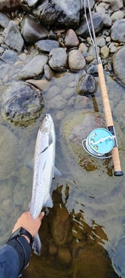 TM sunray shadow blank 5cm! 57cm 1,8kg laks i dag.